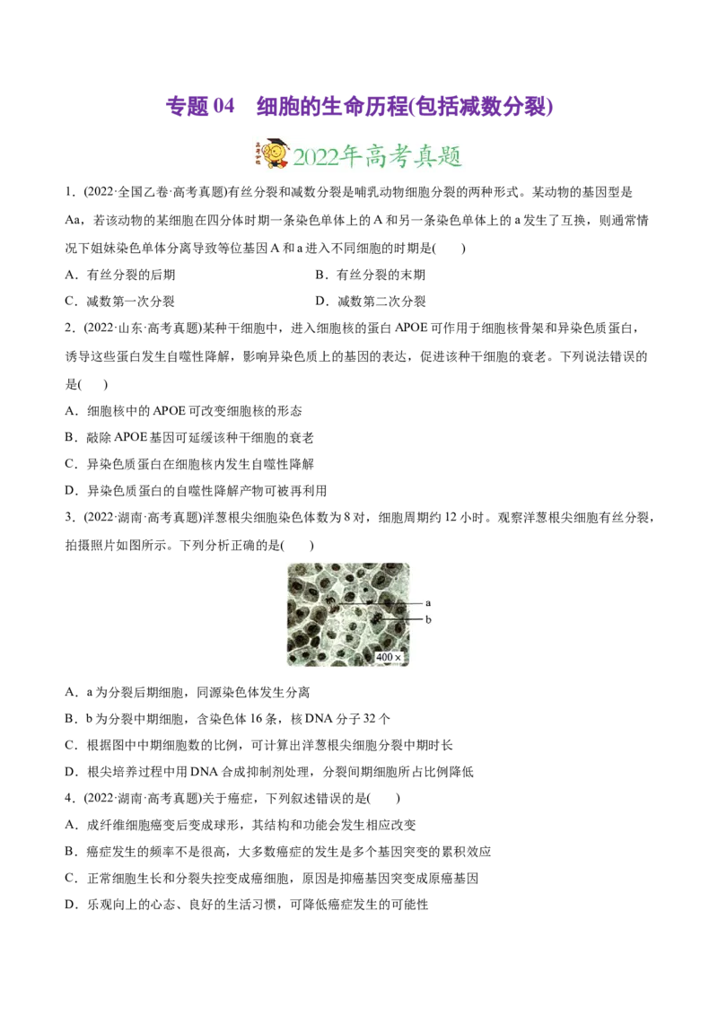 专题04细胞的生命历程（包括减数分裂）-2022年高考真题和模拟题生物分专题训练（学生版）_2024年新高考资料_1.2024一轮复习_赠2022年高考生物真题与模拟题分类