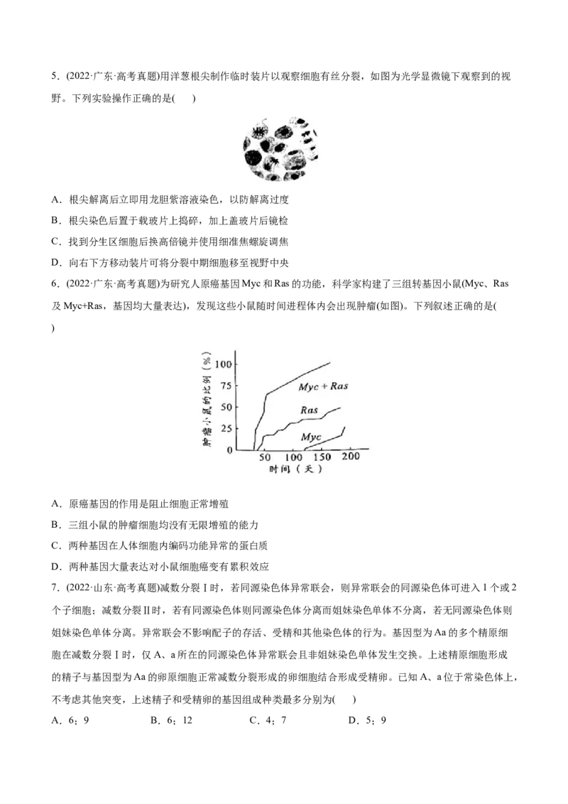 专题04细胞的生命历程（包括减数分裂）-2022年高考真题和模拟题生物分专题训练（学生版）_2024年新高考资料_1.2024一轮复习_赠2022年高考生物真题与模拟题分类