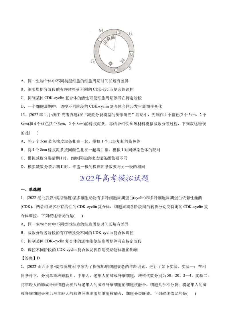专题04细胞的生命历程（包括减数分裂）-2022年高考真题和模拟题生物分专题训练（学生版）_2024年新高考资料_1.2024一轮复习_赠2022年高考生物真题与模拟题分类