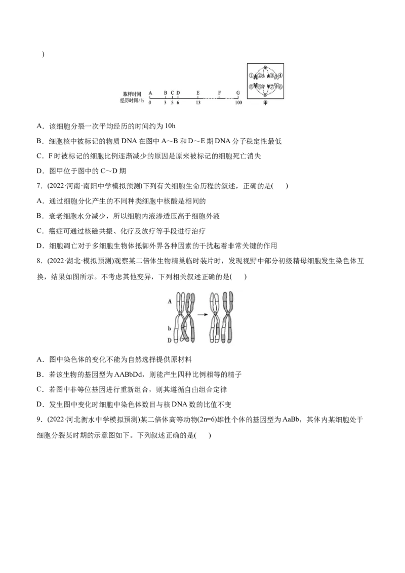 专题04细胞的生命历程（包括减数分裂）-2022年高考真题和模拟题生物分专题训练（学生版）_2024年新高考资料_1.2024一轮复习_赠2022年高考生物真题与模拟题分类