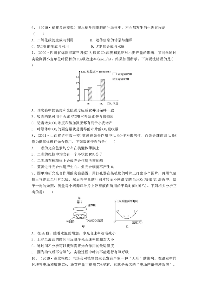 专题09光合作用（精练）（原卷版）_2024年新高考资料_1.2024一轮复习_备战2024年高考生物一轮复习串讲精练（新高考专用）