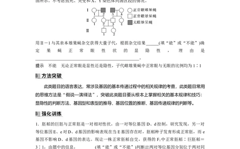 2024年高考生物一轮复习（新人教版）第5单元　长句表达(三)　遗传实验中相关推理分析_09高考生物_2024年新高考资料_1.2024一轮复习_2024年高考生物一轮复习讲义（新人教版）