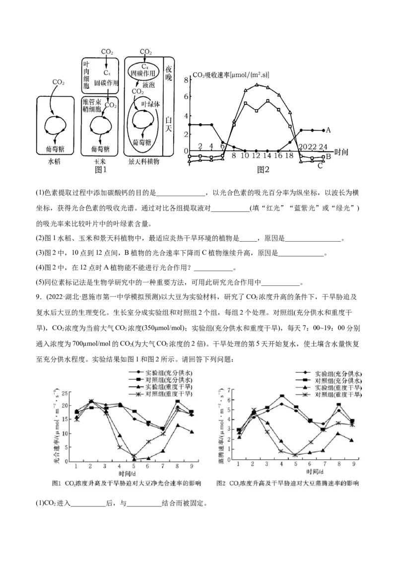 专题03光合作用和细胞呼吸-2022年高考真题和模拟题生物分专题训练（学生版）_2024年新高考资料_1.2024一轮复习_赠2022年高考生物真题与模拟题分类
