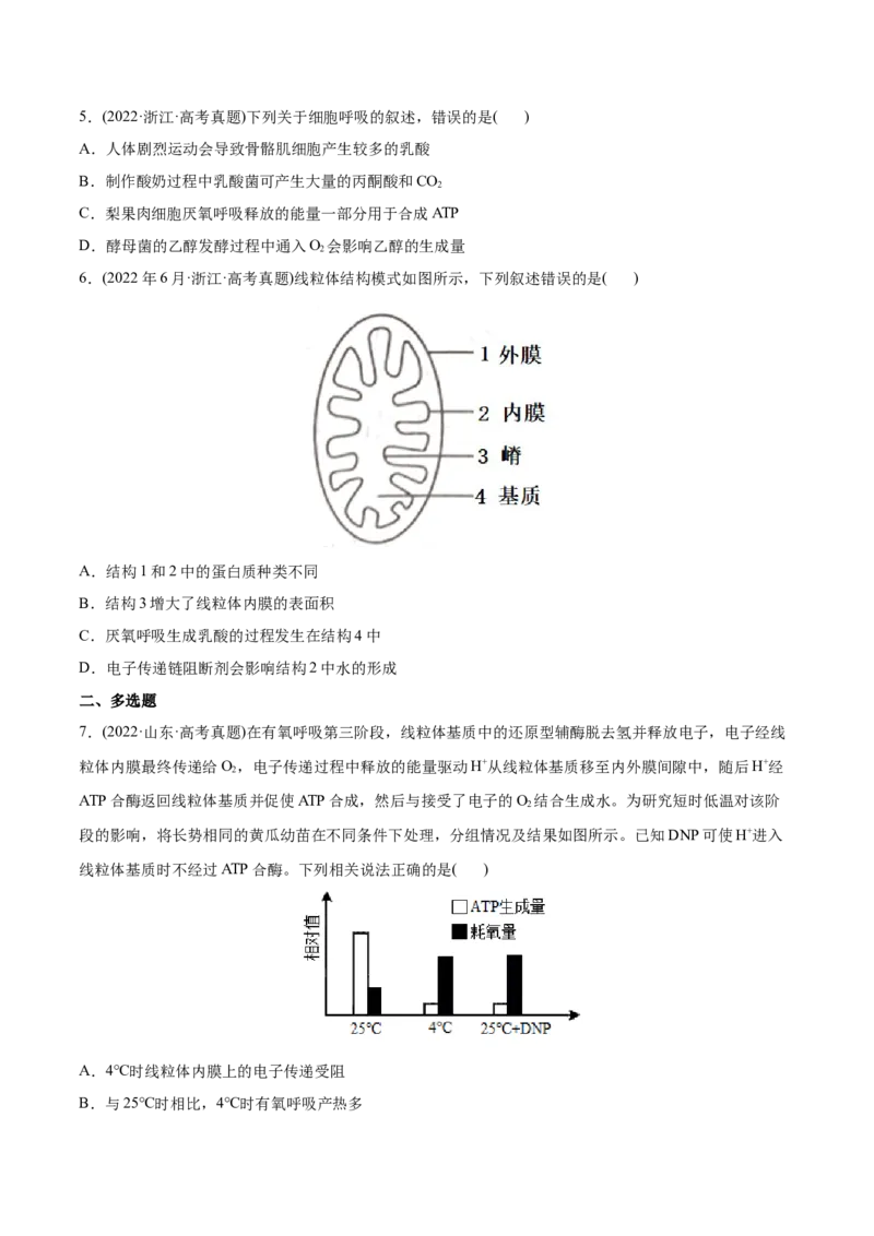 专题03光合作用和细胞呼吸-2022年高考真题和模拟题生物分专题训练（学生版）_2024年新高考资料_1.2024一轮复习_赠2022年高考生物真题与模拟题分类