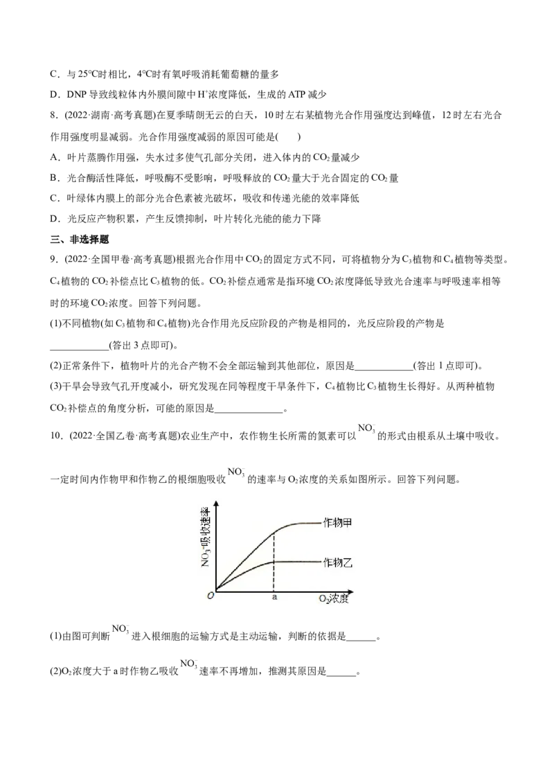 专题03光合作用和细胞呼吸-2022年高考真题和模拟题生物分专题训练（学生版）_2024年新高考资料_1.2024一轮复习_赠2022年高考生物真题与模拟题分类