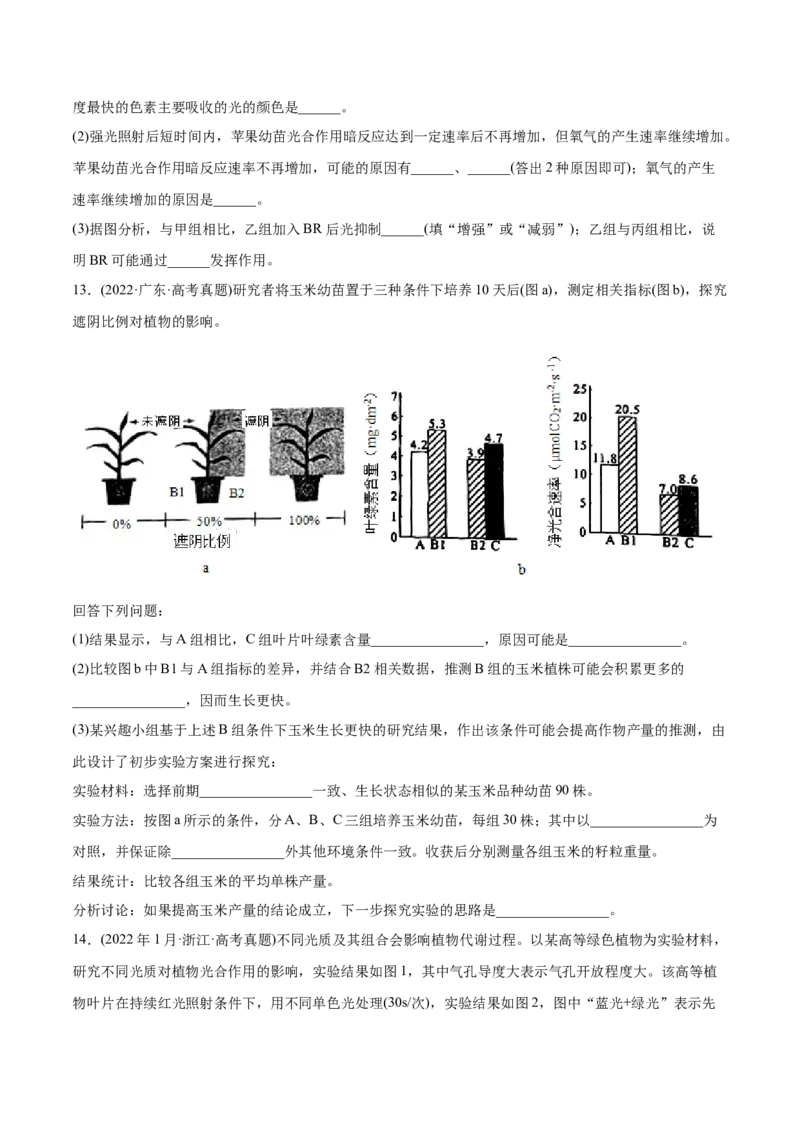 专题03光合作用和细胞呼吸-2022年高考真题和模拟题生物分专题训练（学生版）_2024年新高考资料_1.2024一轮复习_赠2022年高考生物真题与模拟题分类