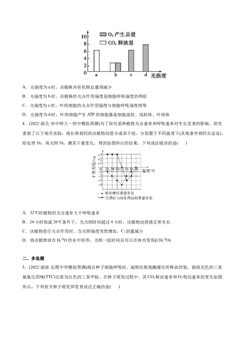 专题03光合作用和细胞呼吸-2022年高考真题和模拟题生物分专题训练（学生版）_2024年新高考资料_1.2024一轮复习_赠2022年高考生物真题与模拟题分类