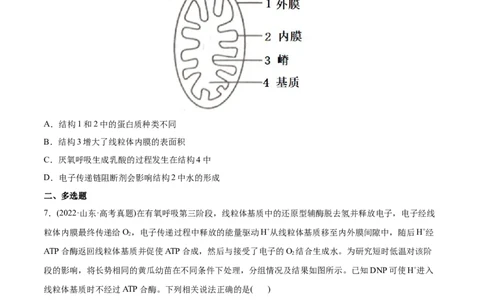 专题03光合作用和细胞呼吸-2022年高考真题和模拟题生物分专题训练（学生版）_2024年新高考资料_1.2024一轮复习_赠2022年高考生物真题与模拟题分类