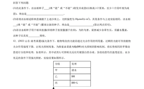 专题03光合作用和细胞呼吸-2022年高考真题和模拟题生物分专题训练（学生版）_2024年新高考资料_1.2024一轮复习_赠2022年高考生物真题与模拟题分类