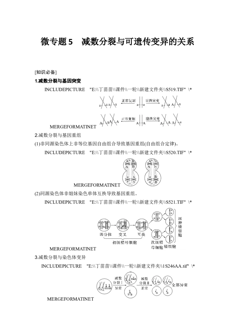微专题5减数分裂与可遗传变异的关系_2024年新高考资料_1.2024一轮复习_2024年高考生物一轮复习讲义（新人教版）_另附1套Word版题库_必修1_第四单元细胞的生命历程