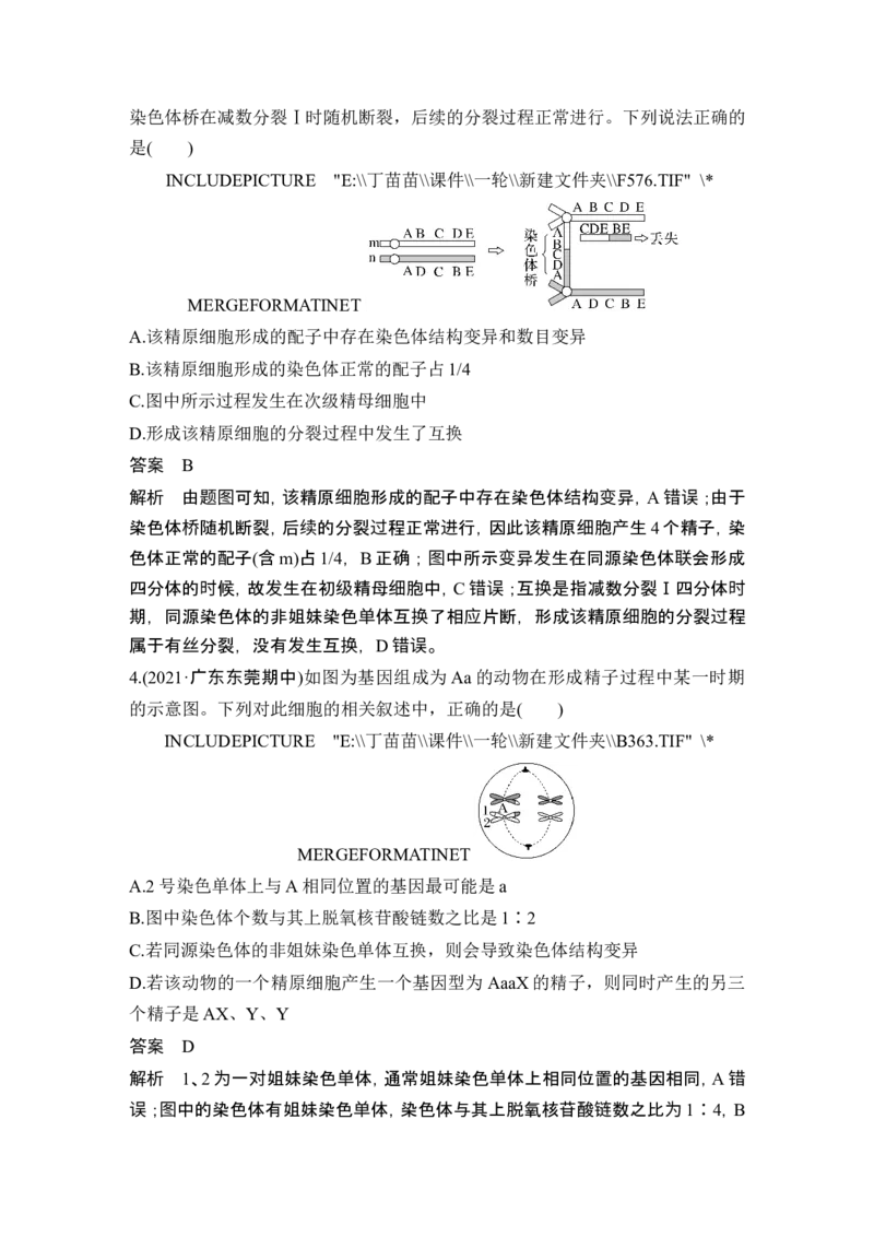 微专题5减数分裂与可遗传变异的关系_2024年新高考资料_1.2024一轮复习_2024年高考生物一轮复习讲义（新人教版）_另附1套Word版题库_必修1_第四单元细胞的生命历程