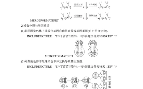 微专题5减数分裂与可遗传变异的关系_2024年新高考资料_1.2024一轮复习_2024年高考生物一轮复习讲义（新人教版）_另附1套Word版题库_必修1_第四单元细胞的生命历程
