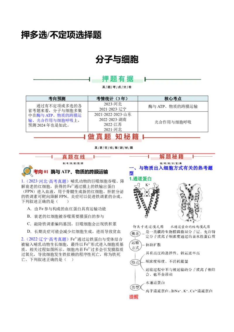 押新高考卷分子与细胞（原卷版）-备战2024年高考生物临考题号押题（新高考通用）_2024年新高考资料_5.2024三轮冲刺_备战2024年高考生物临考题号押题（新高考通用）322745222