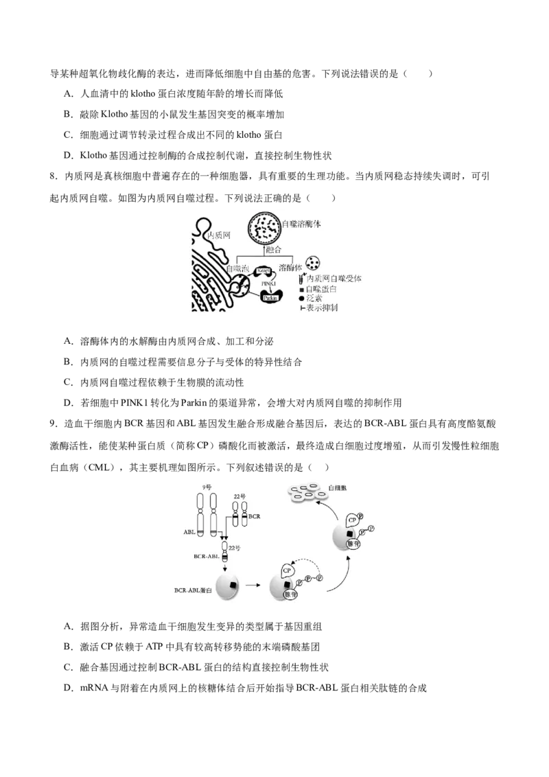 押新高考卷分子与细胞（原卷版）-备战2024年高考生物临考题号押题（新高考通用）_2024年新高考资料_5.2024三轮冲刺_备战2024年高考生物临考题号押题（新高考通用）322745222