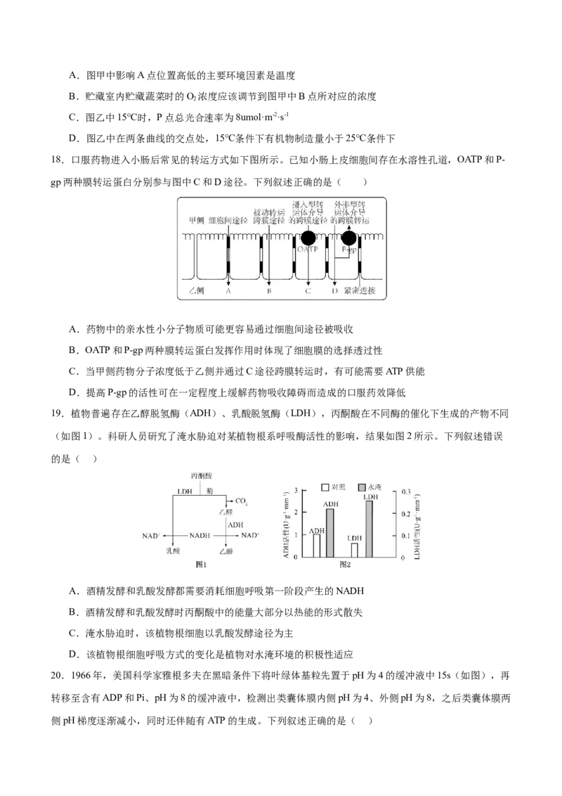 押新高考卷分子与细胞（原卷版）-备战2024年高考生物临考题号押题（新高考通用）_2024年新高考资料_5.2024三轮冲刺_备战2024年高考生物临考题号押题（新高考通用）322745222