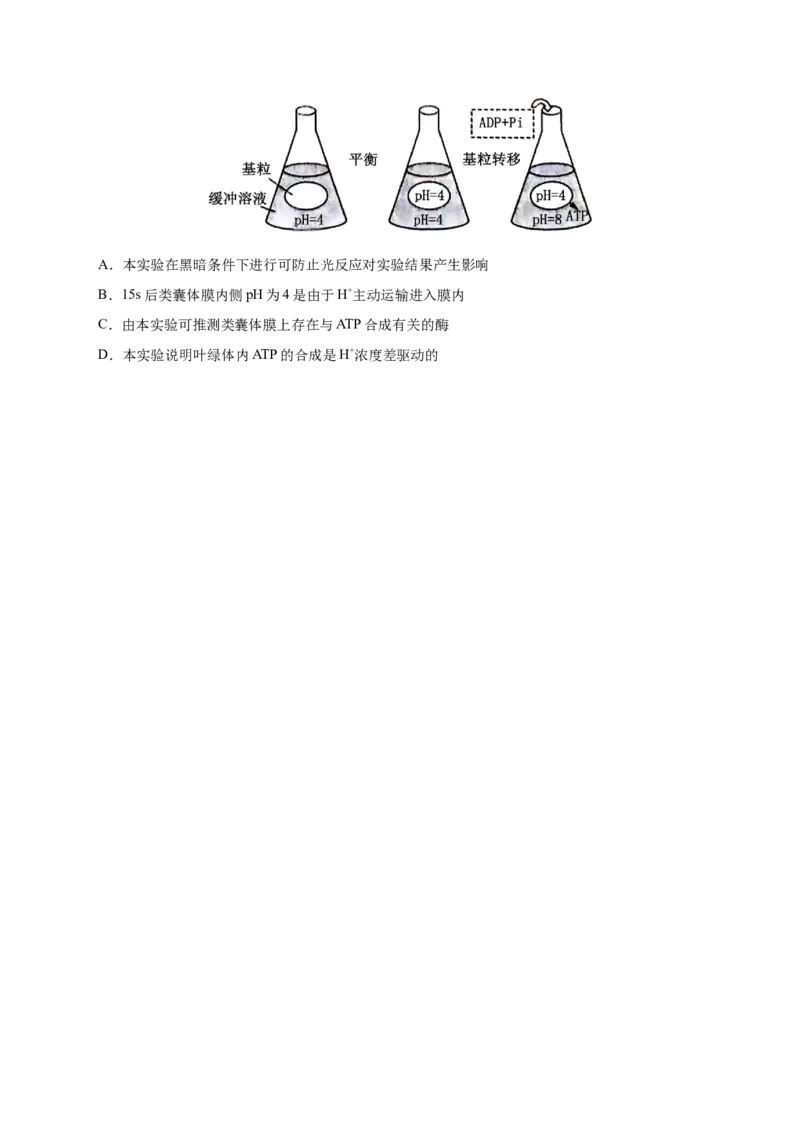 押新高考卷分子与细胞（原卷版）-备战2024年高考生物临考题号押题（新高考通用）_2024年新高考资料_5.2024三轮冲刺_备战2024年高考生物临考题号押题（新高考通用）322745222