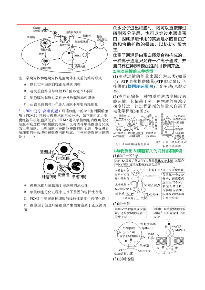 押新高考卷分子与细胞（原卷版）-备战2024年高考生物临考题号押题（新高考通用）_2024年新高考资料_5.2024三轮冲刺_备战2024年高考生物临考题号押题（新高考通用）322745222