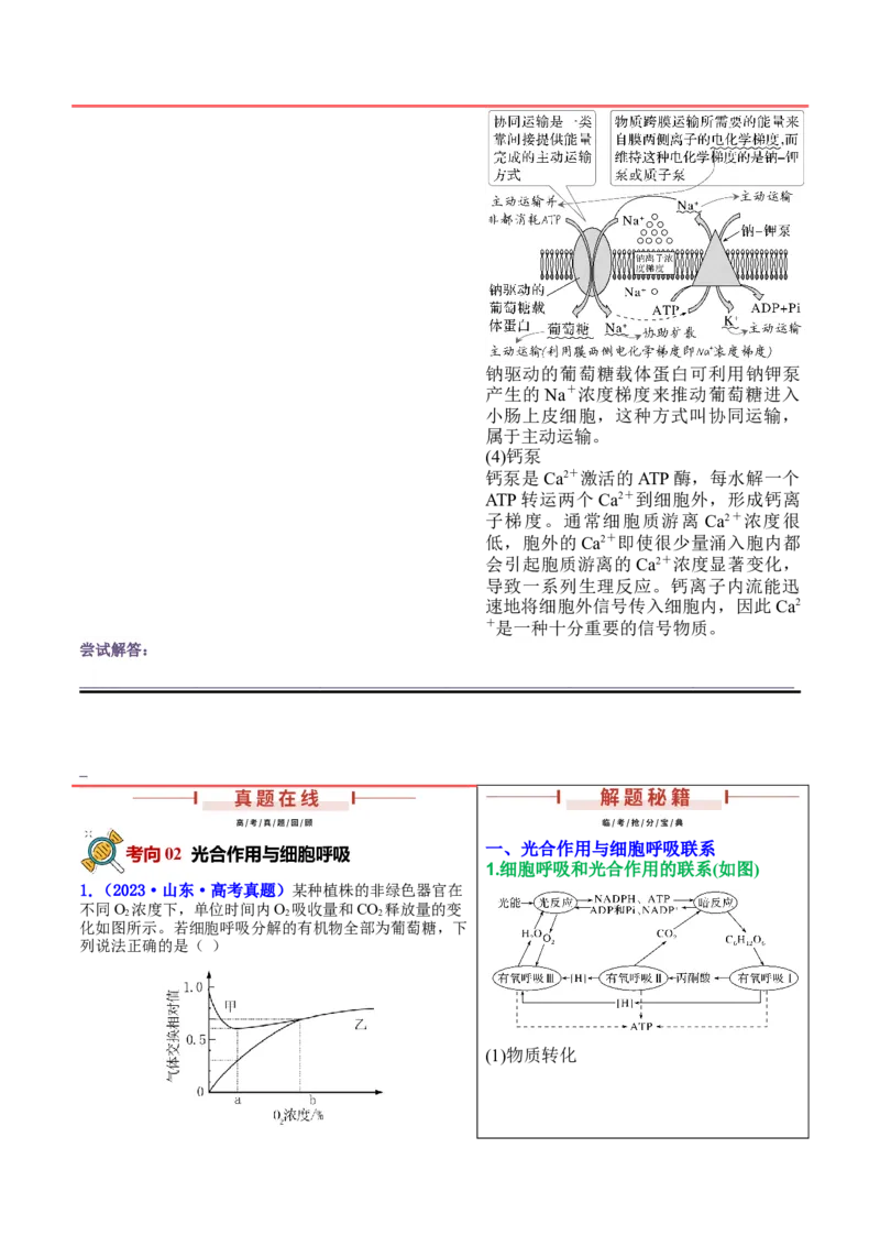 押新高考卷分子与细胞（原卷版）-备战2024年高考生物临考题号押题（新高考通用）_2024年新高考资料_5.2024三轮冲刺_备战2024年高考生物临考题号押题（新高考通用）322745222