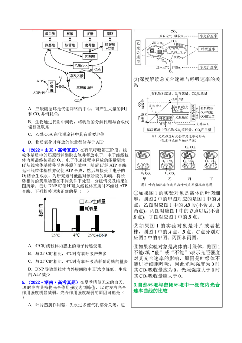 押新高考卷分子与细胞（原卷版）-备战2024年高考生物临考题号押题（新高考通用）_2024年新高考资料_5.2024三轮冲刺_备战2024年高考生物临考题号押题（新高考通用）322745222