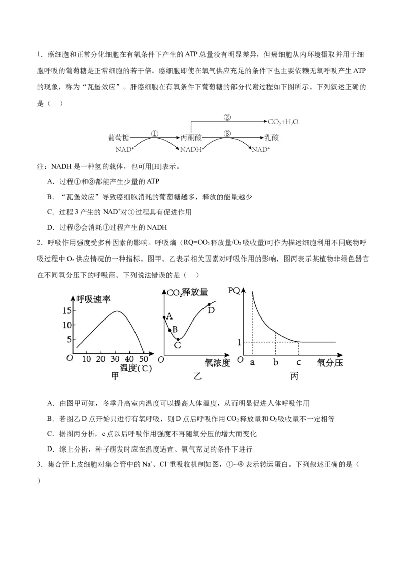 押新高考卷分子与细胞（原卷版）-备战2024年高考生物临考题号押题（新高考通用）_2024年新高考资料_5.2024三轮冲刺_备战2024年高考生物临考题号押题（新高考通用）322745222