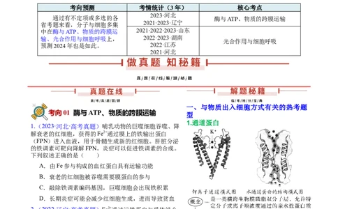 押新高考卷分子与细胞（原卷版）-备战2024年高考生物临考题号押题（新高考通用）_2024年新高考资料_5.2024三轮冲刺_备战2024年高考生物临考题号押题（新高考通用）322745222