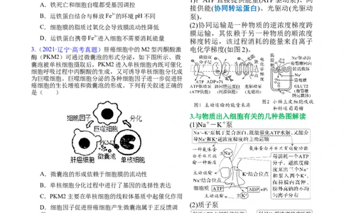 押新高考卷分子与细胞（原卷版）-备战2024年高考生物临考题号押题（新高考通用）_2024年新高考资料_5.2024三轮冲刺_备战2024年高考生物临考题号押题（新高考通用）322745222