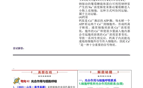 押新高考卷分子与细胞（原卷版）-备战2024年高考生物临考题号押题（新高考通用）_2024年新高考资料_5.2024三轮冲刺_备战2024年高考生物临考题号押题（新高考通用）322745222