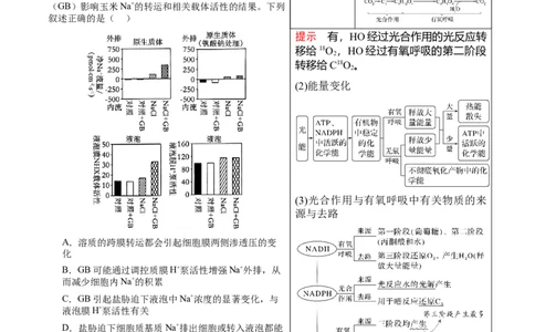 押新高考卷分子与细胞（原卷版）-备战2024年高考生物临考题号押题（新高考通用）_2024年新高考资料_5.2024三轮冲刺_备战2024年高考生物临考题号押题（新高考通用）322745222