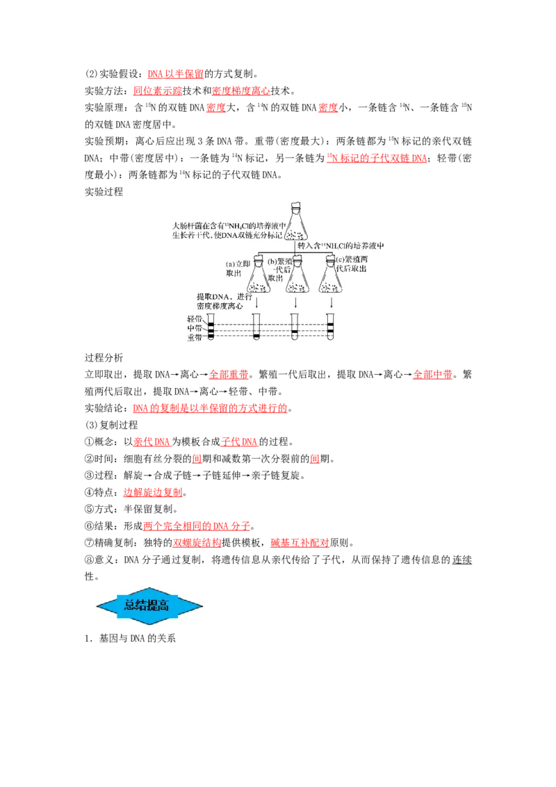 专题18DNA分子的结构、复制及基因的本质（串讲）（解析版）_2024年新高考资料_1.2024一轮复习_备战2024年高考生物一轮复习串讲精练（新高考专用）