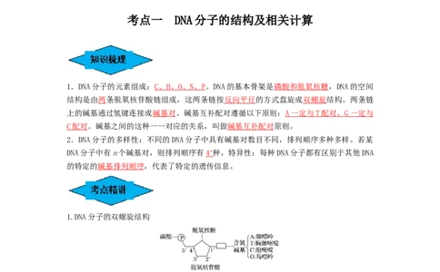 专题18DNA分子的结构、复制及基因的本质（串讲）（解析版）_2024年新高考资料_1.2024一轮复习_备战2024年高考生物一轮复习串讲精练（新高考专用）