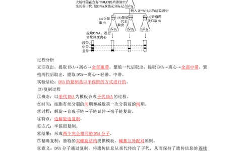 专题18DNA分子的结构、复制及基因的本质（串讲）（解析版）_2024年新高考资料_1.2024一轮复习_备战2024年高考生物一轮复习串讲精练（新高考专用）