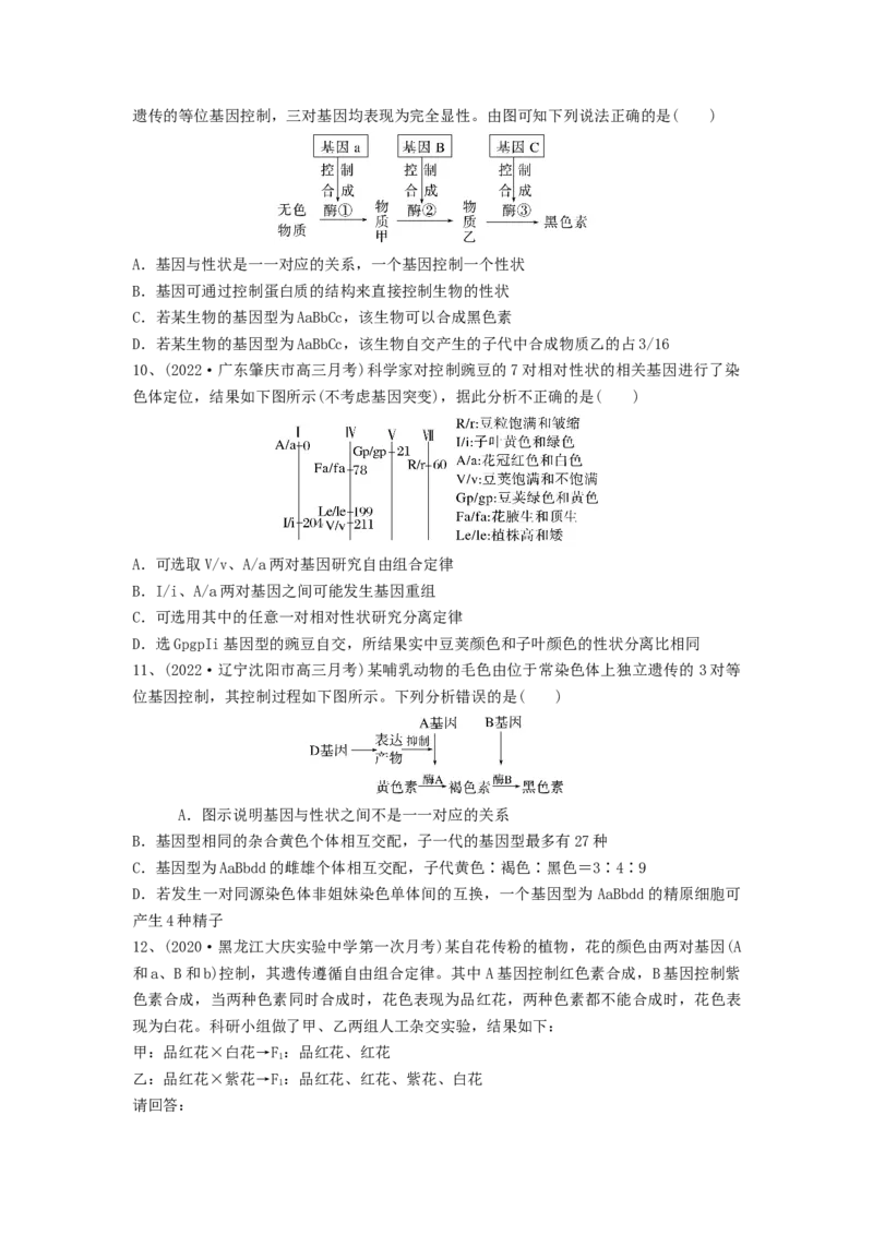 专题15基因的自由组合定律（精练）（原卷版）_2024年新高考资料_1.2024一轮复习_备战2024年高考生物一轮复习串讲精练（新高考专用）