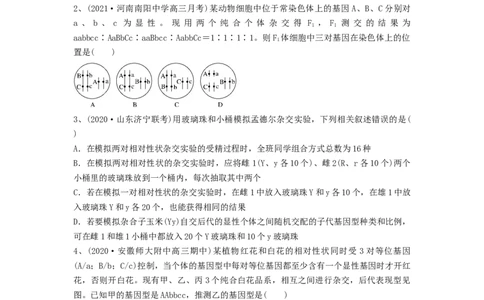 专题15基因的自由组合定律（精练）（原卷版）_2024年新高考资料_1.2024一轮复习_备战2024年高考生物一轮复习串讲精练（新高考专用）