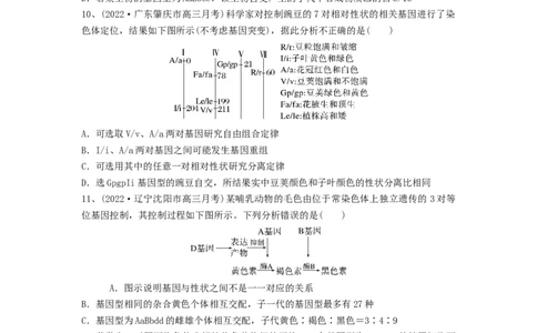 专题15基因的自由组合定律（精练）（原卷版）_2024年新高考资料_1.2024一轮复习_备战2024年高考生物一轮复习串讲精练（新高考专用）
