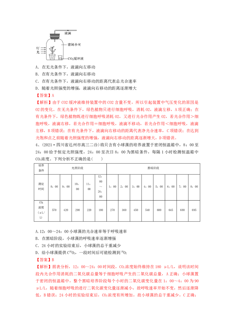 专题10光合作用与细胞呼吸的综合应用（精练）（解析版）_2024年新高考资料_1.2024一轮复习_备战2024年高考生物一轮复习串讲精练（新高考专用）