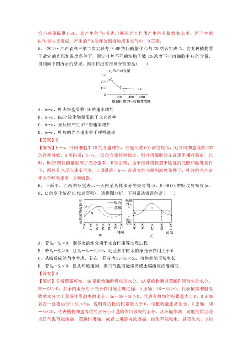 专题10光合作用与细胞呼吸的综合应用（精练）（解析版）_2024年新高考资料_1.2024一轮复习_备战2024年高考生物一轮复习串讲精练（新高考专用）