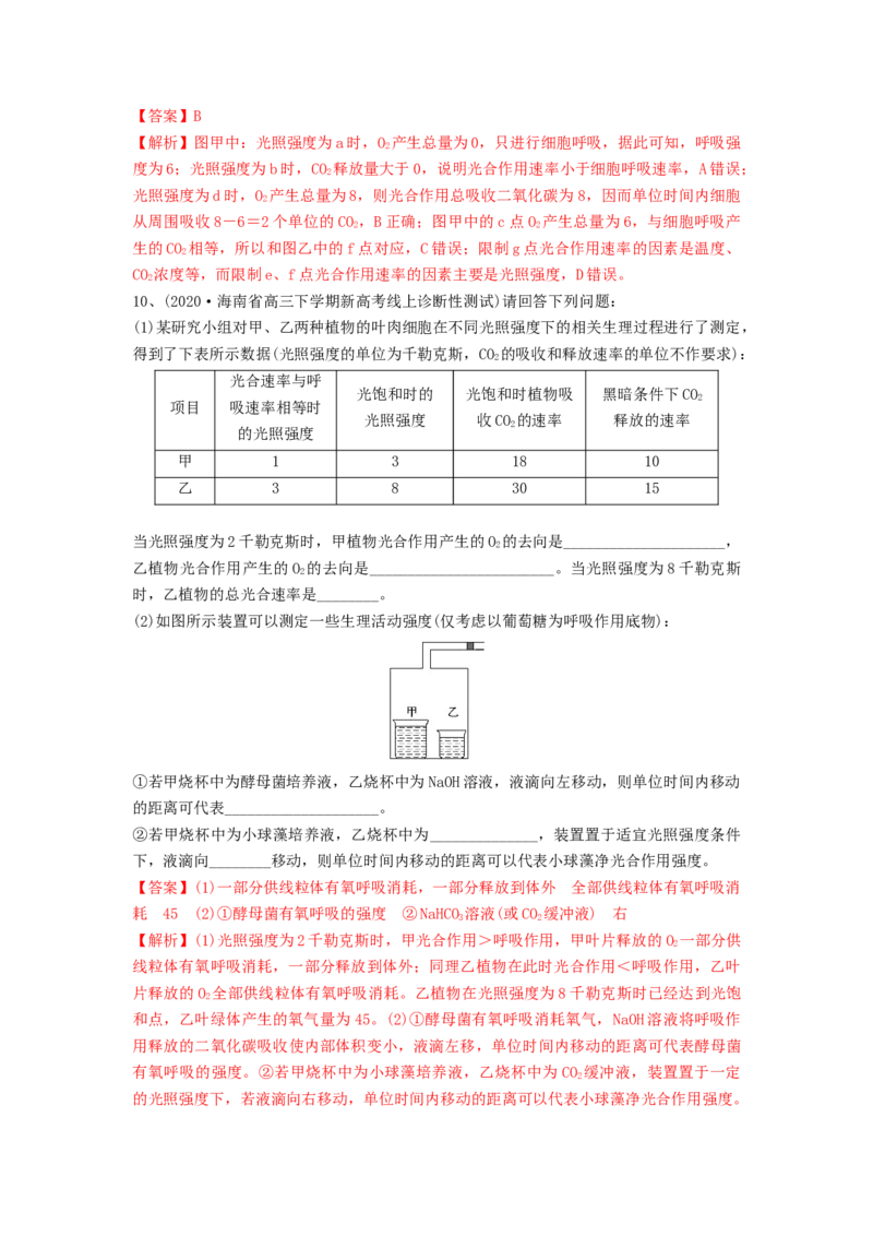 专题10光合作用与细胞呼吸的综合应用（精练）（解析版）_2024年新高考资料_1.2024一轮复习_备战2024年高考生物一轮复习串讲精练（新高考专用）