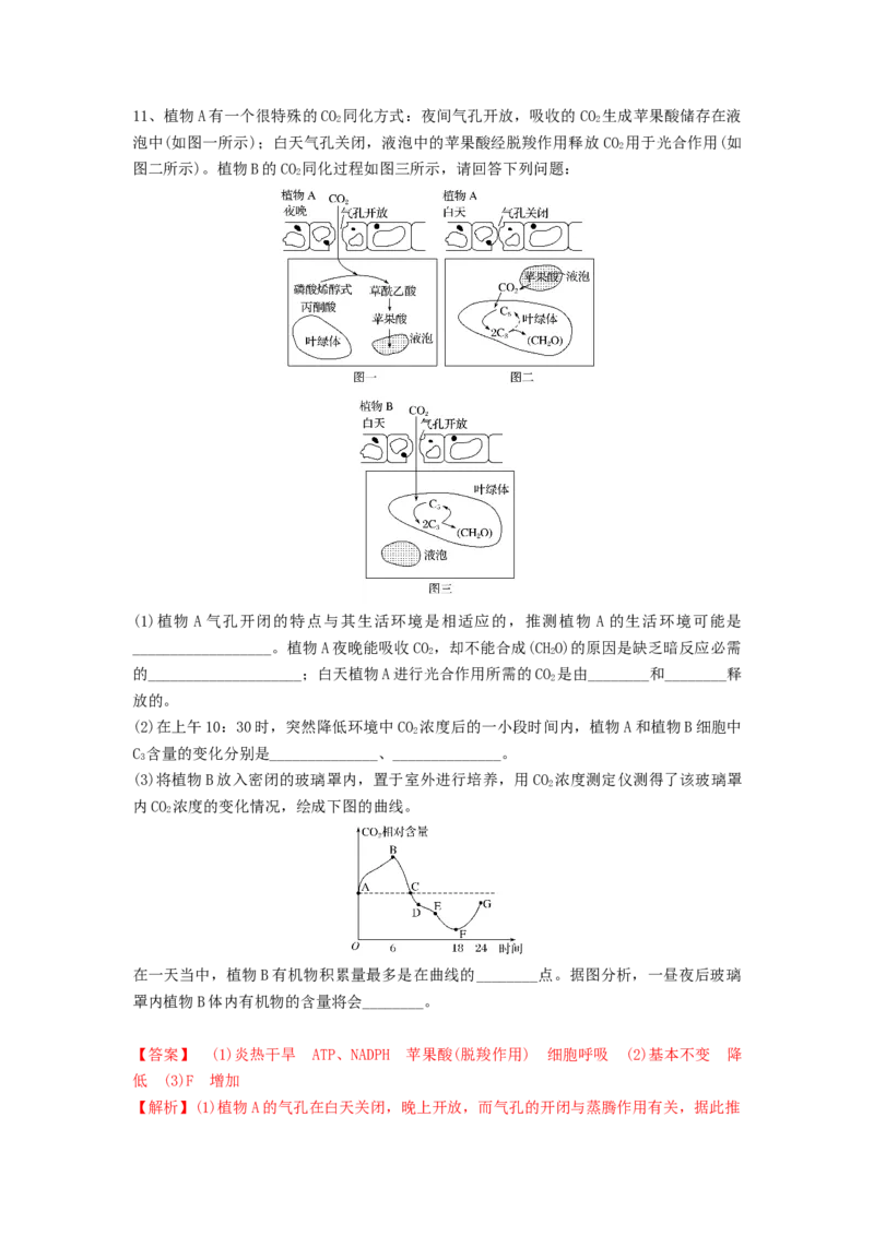 专题10光合作用与细胞呼吸的综合应用（精练）（解析版）_2024年新高考资料_1.2024一轮复习_备战2024年高考生物一轮复习串讲精练（新高考专用）
