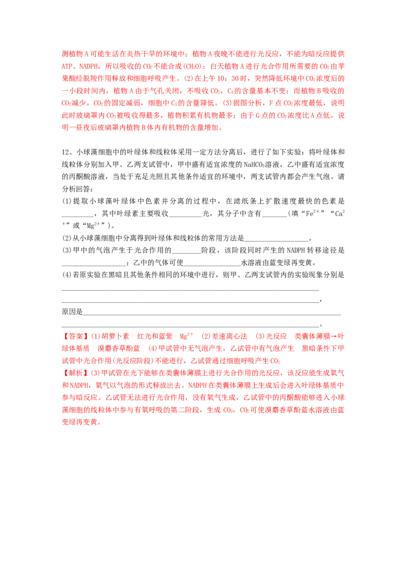 专题10光合作用与细胞呼吸的综合应用（精练）（解析版）_2024年新高考资料_1.2024一轮复习_备战2024年高考生物一轮复习串讲精练（新高考专用）