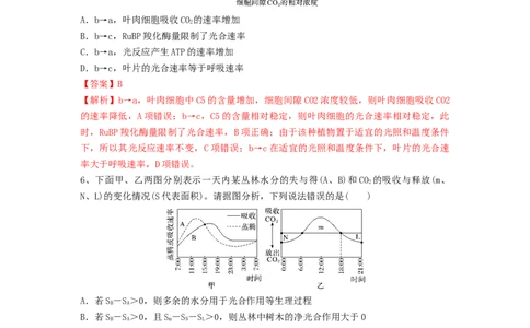专题10光合作用与细胞呼吸的综合应用（精练）（解析版）_2024年新高考资料_1.2024一轮复习_备战2024年高考生物一轮复习串讲精练（新高考专用）