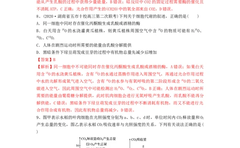 专题10光合作用与细胞呼吸的综合应用（精练）（解析版）_2024年新高考资料_1.2024一轮复习_备战2024年高考生物一轮复习串讲精练（新高考专用）