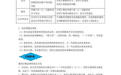 专题14基因的分离定律（串讲）（解析版）_2024年新高考资料_1.2024一轮复习_备战2024年高考生物一轮复习串讲精练（新高考专用）