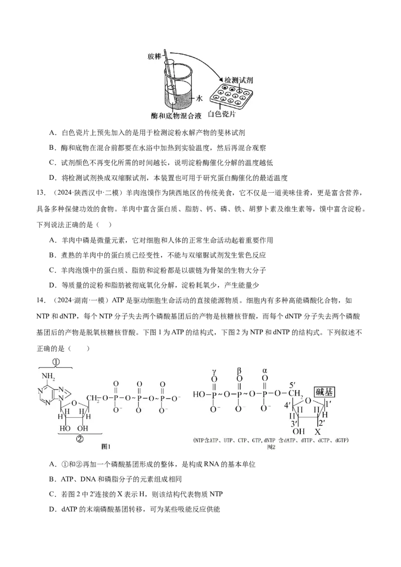 押新高考卷细胞中的元素和化合物（原卷版）-备战2024年高考生物临考题号押题（新高考通用）_2024年新高考资料_5.2024三轮冲刺_押单项选择题
