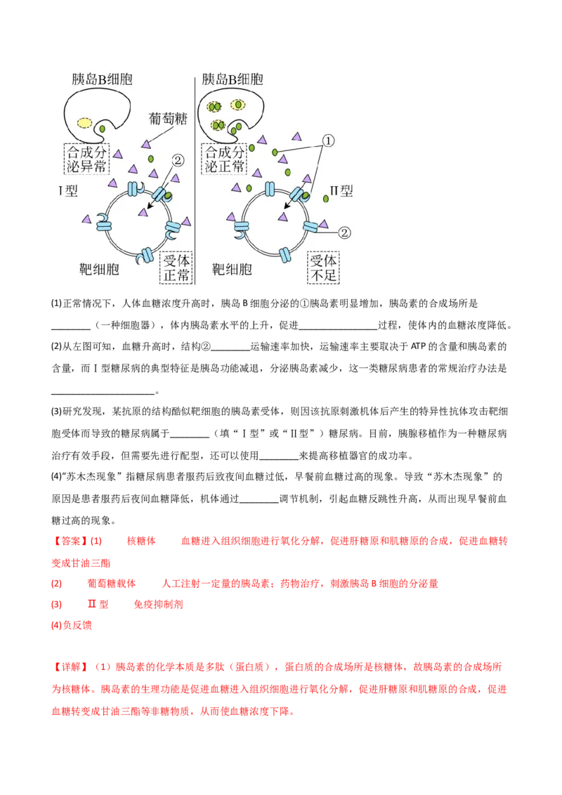 专题11免疫调节（解析版）_2024年新高考资料_3.2024专项复习_备战2024年高考生物一轮复习重难点突破讲解与训练（新教材）