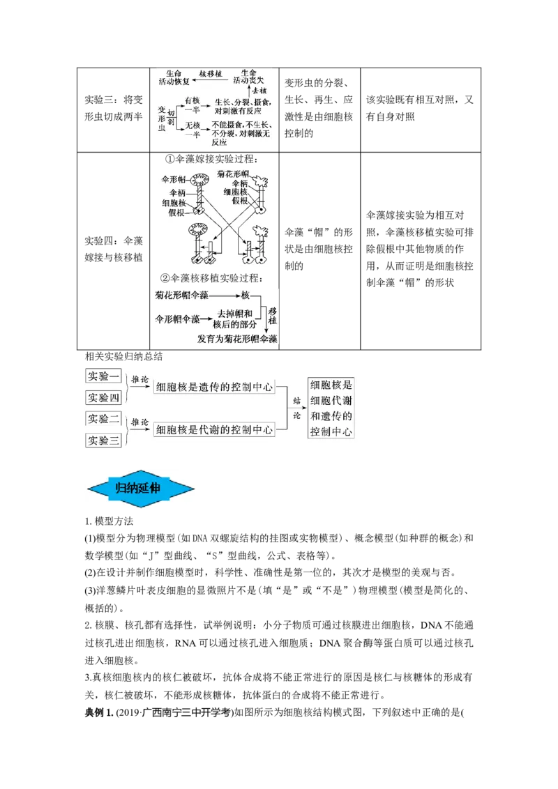 专题04细胞膜和细胞核（串讲）（解析版）_2024年新高考资料_1.2024一轮复习_备战2024年高考生物一轮复习串讲精练（新高考专用）