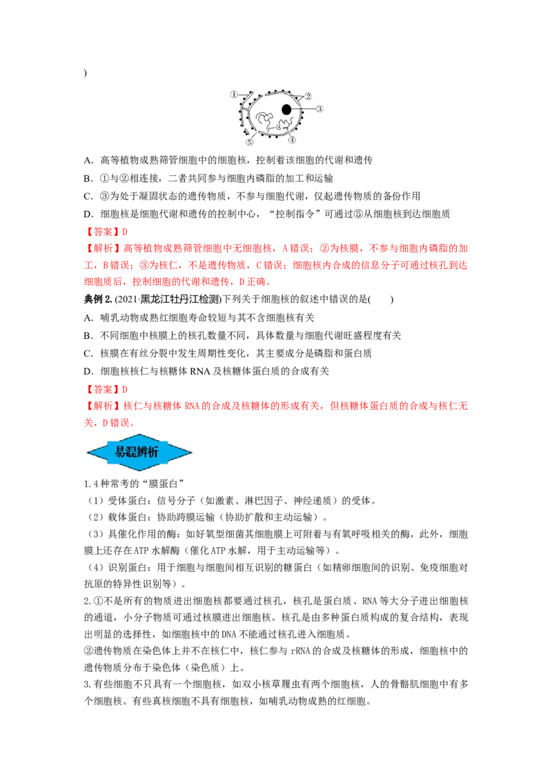 专题04细胞膜和细胞核（串讲）（解析版）_2024年新高考资料_1.2024一轮复习_备战2024年高考生物一轮复习串讲精练（新高考专用）