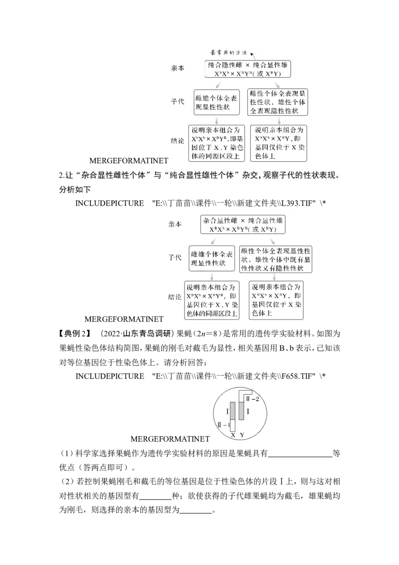 微专题9基因定位的遗传实验设计_2024年新高考资料_1.2024一轮复习_2024年高考生物一轮复习讲义（新人教版）_另附1套Word版题库_必修2_第五单元遗传的基本规律