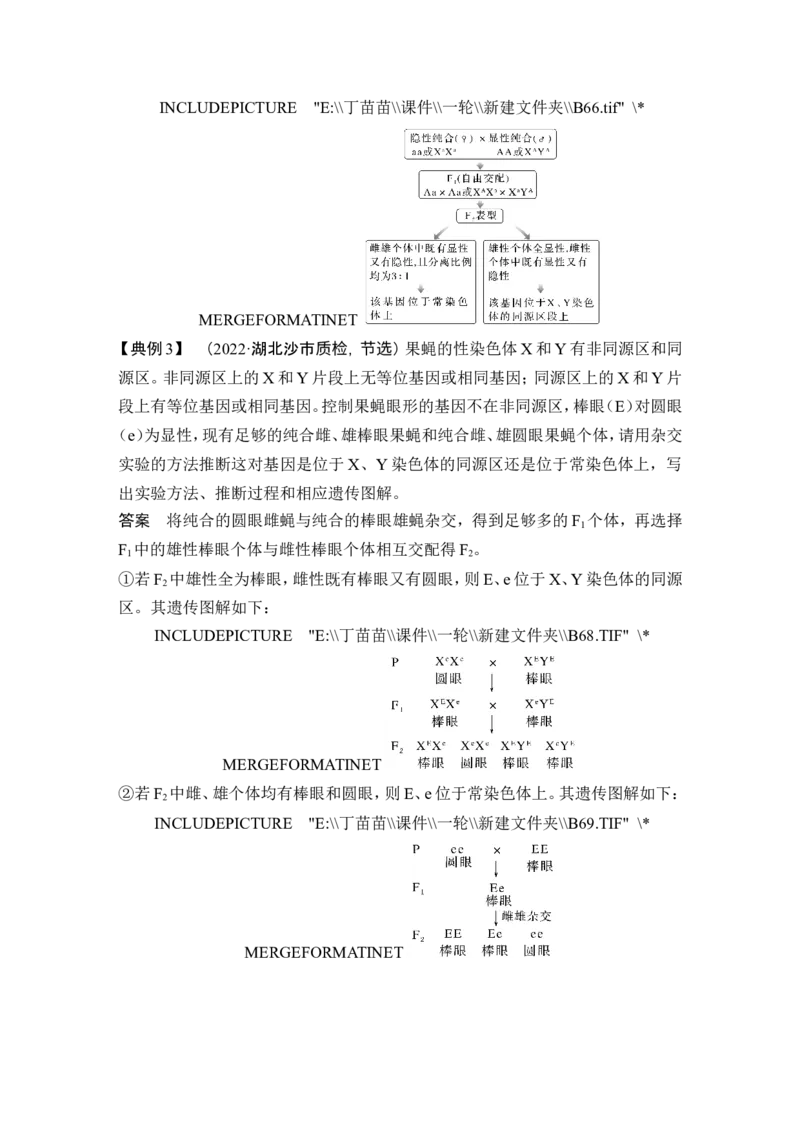 微专题9基因定位的遗传实验设计_2024年新高考资料_1.2024一轮复习_2024年高考生物一轮复习讲义（新人教版）_另附1套Word版题库_必修2_第五单元遗传的基本规律