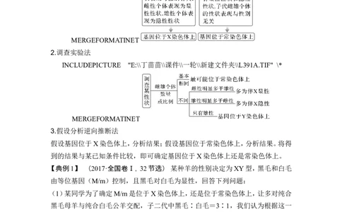 微专题9基因定位的遗传实验设计_2024年新高考资料_1.2024一轮复习_2024年高考生物一轮复习讲义（新人教版）_另附1套Word版题库_必修2_第五单元遗传的基本规律