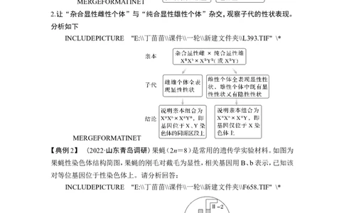 微专题9基因定位的遗传实验设计_2024年新高考资料_1.2024一轮复习_2024年高考生物一轮复习讲义（新人教版）_另附1套Word版题库_必修2_第五单元遗传的基本规律